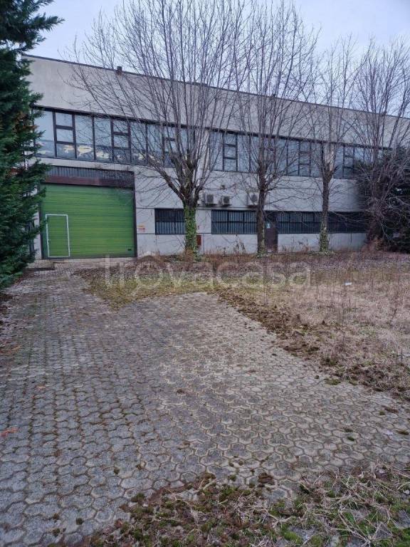 immagine annuncio 14 di 15