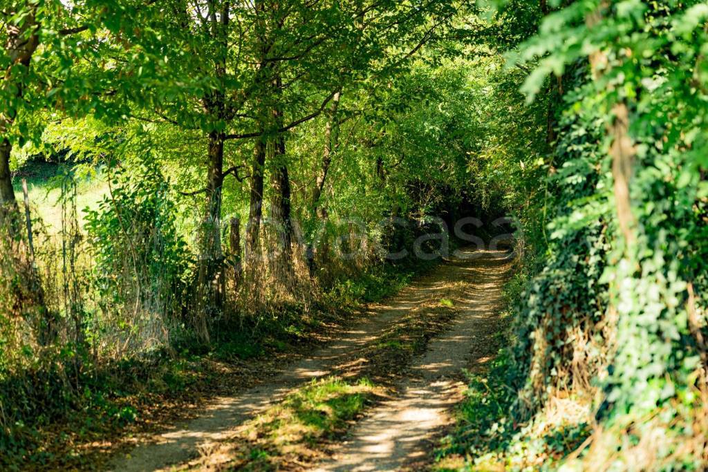 immagine annuncio 9 di 13