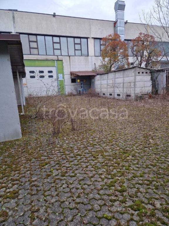 immagine annuncio 4 di 15