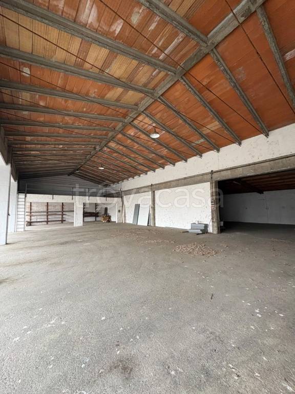 immagine annuncio 9 di 13