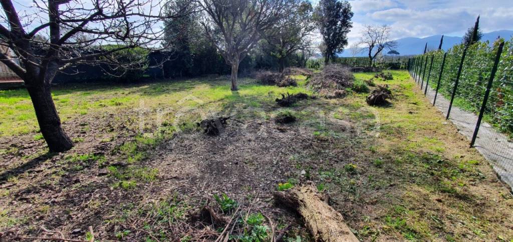 immagine annuncio 2 di 8