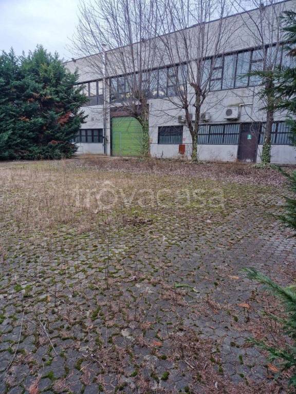 immagine annuncio 5 di 15