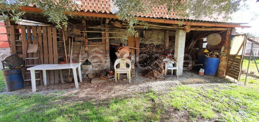 immagine annuncio 4 di 8