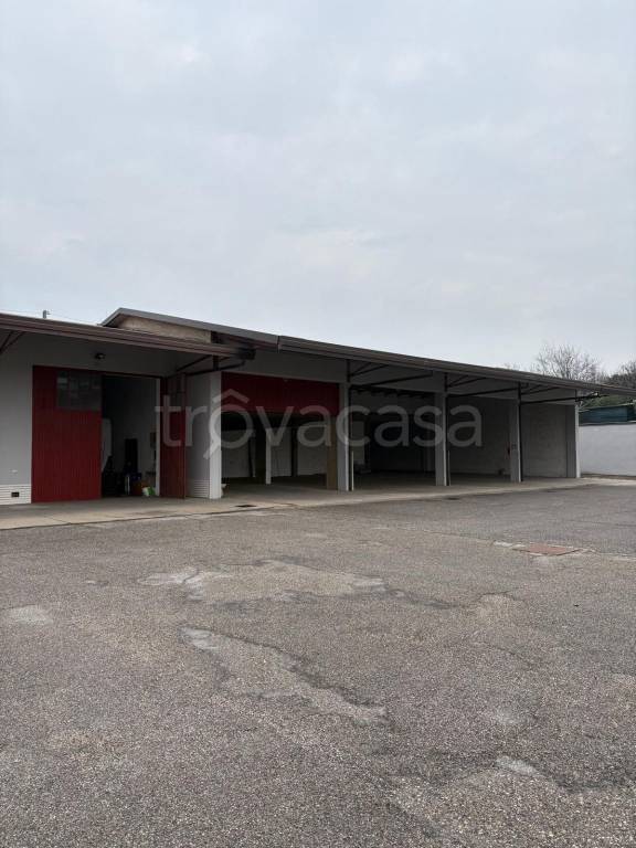 immagine annuncio 3 di 13