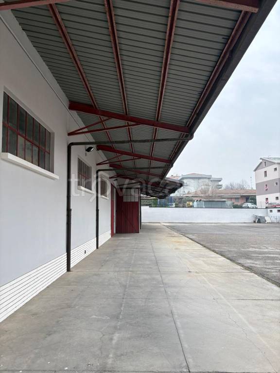 immagine annuncio 7 di 13