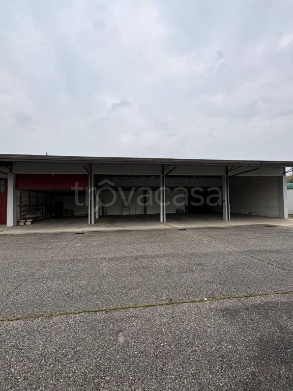 immagine annuncio 6 di 13