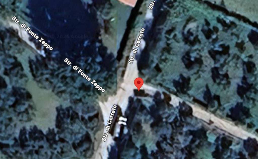 immagine annuncio 6 di 11