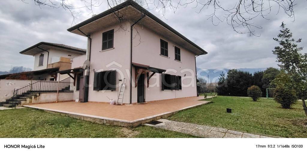 immagine annuncio 1 di 14