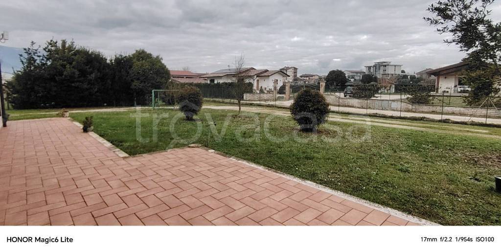 immagine annuncio 6 di 14