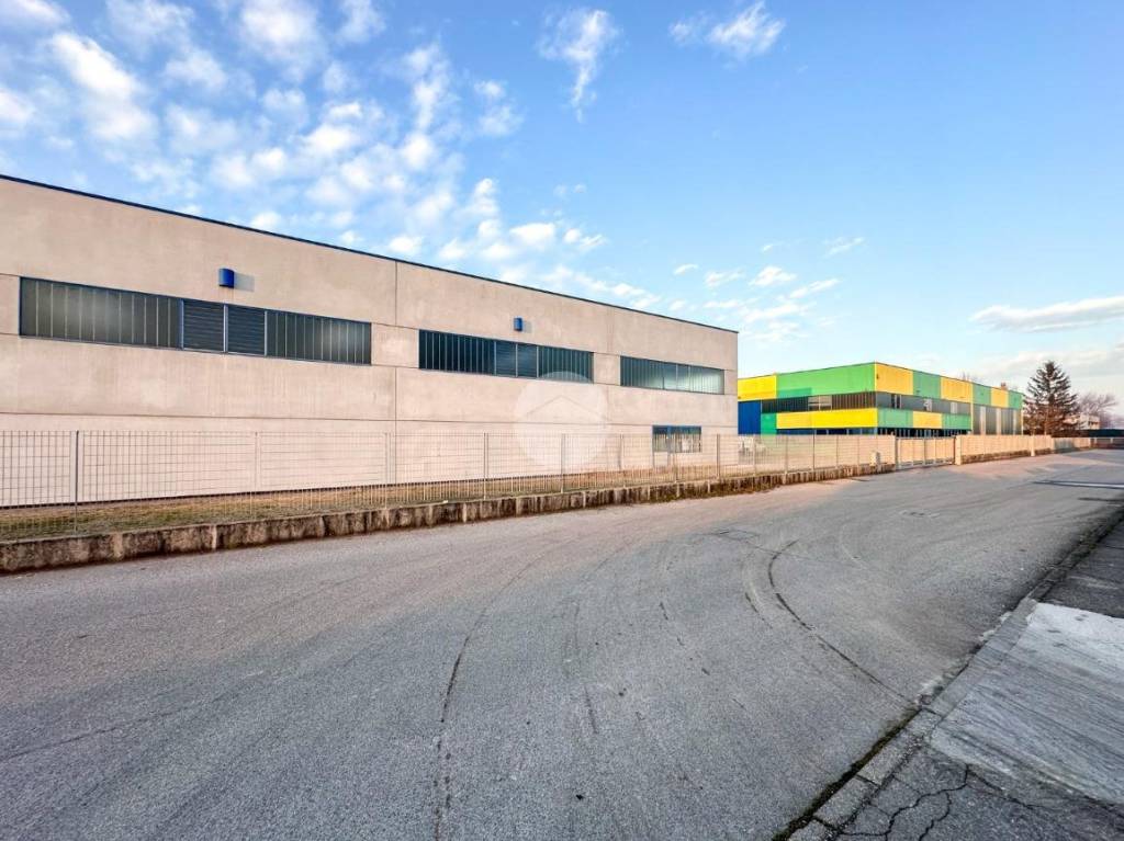 immagine annuncio 5 di 15