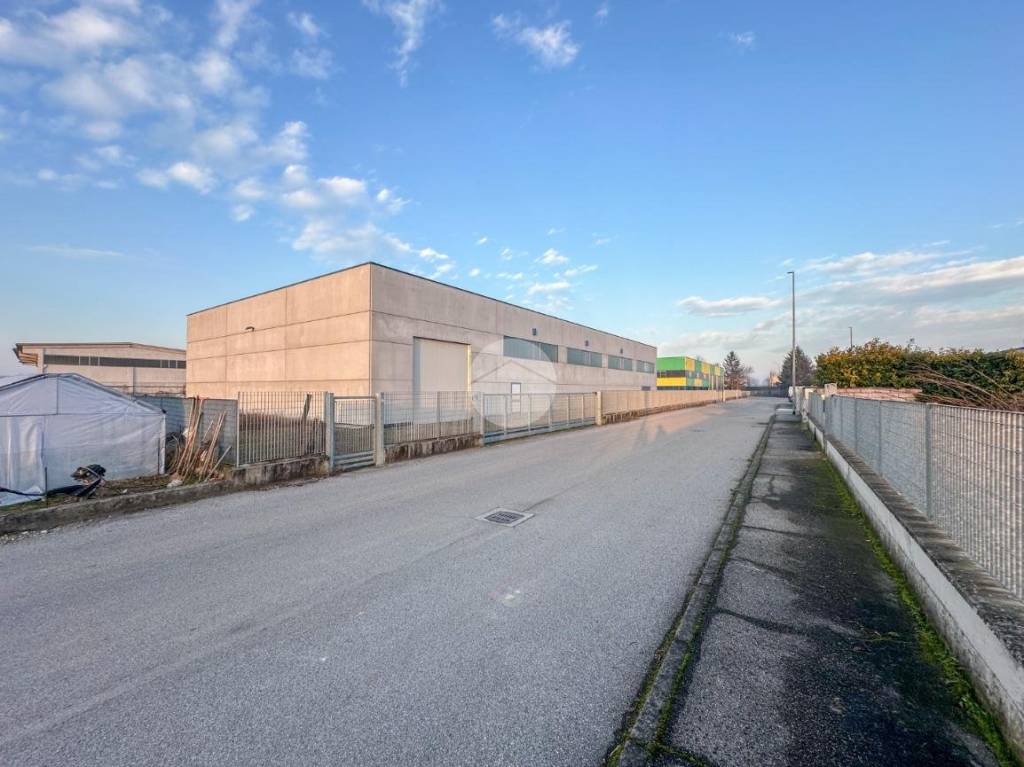 immagine annuncio 6 di 15