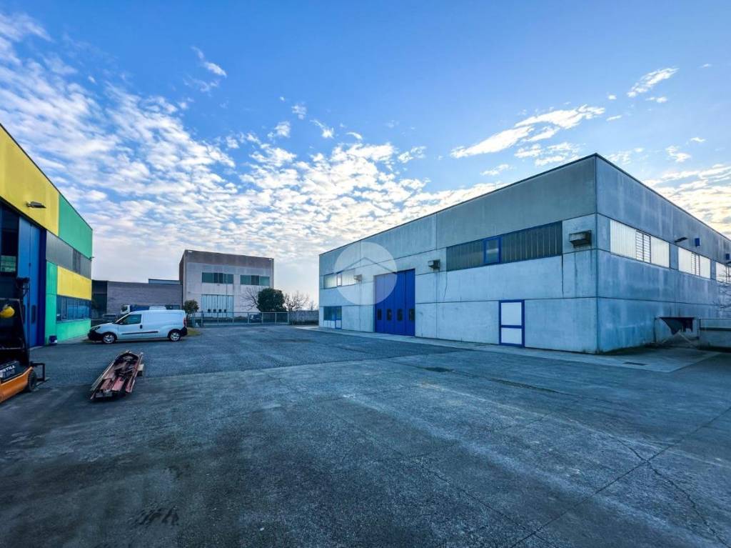 immagine annuncio 9 di 15