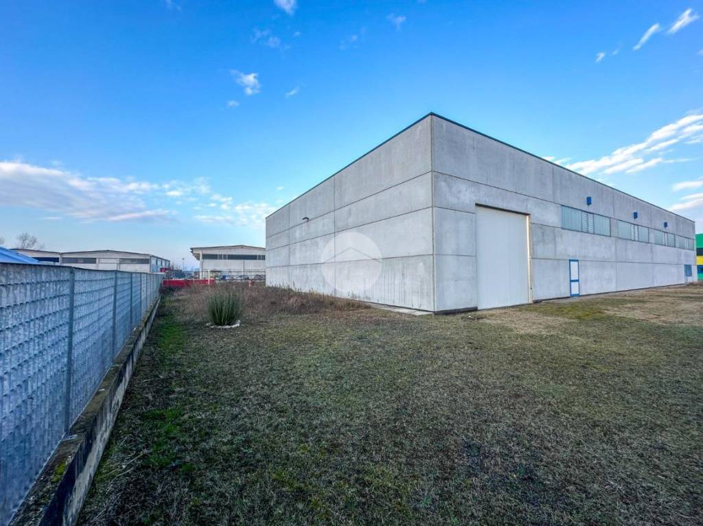 immagine annuncio 12 di 15