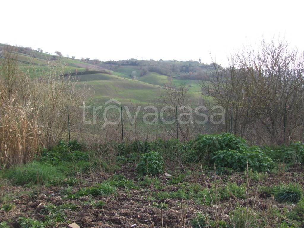 immagine annuncio 5 di 12