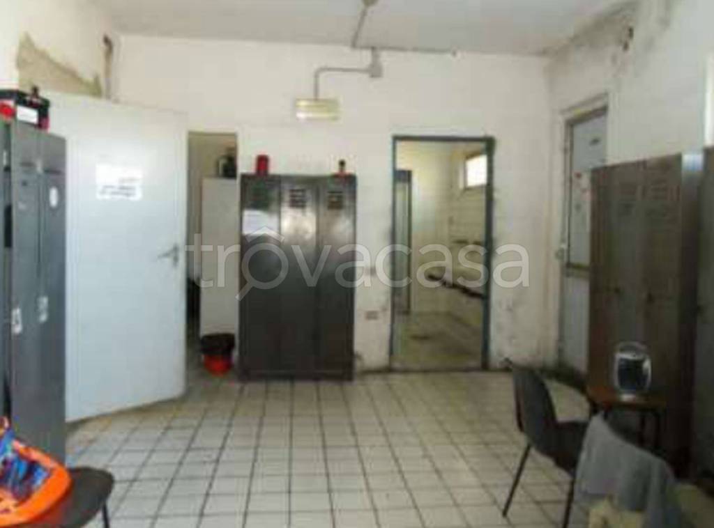 immagine annuncio 3 di 14