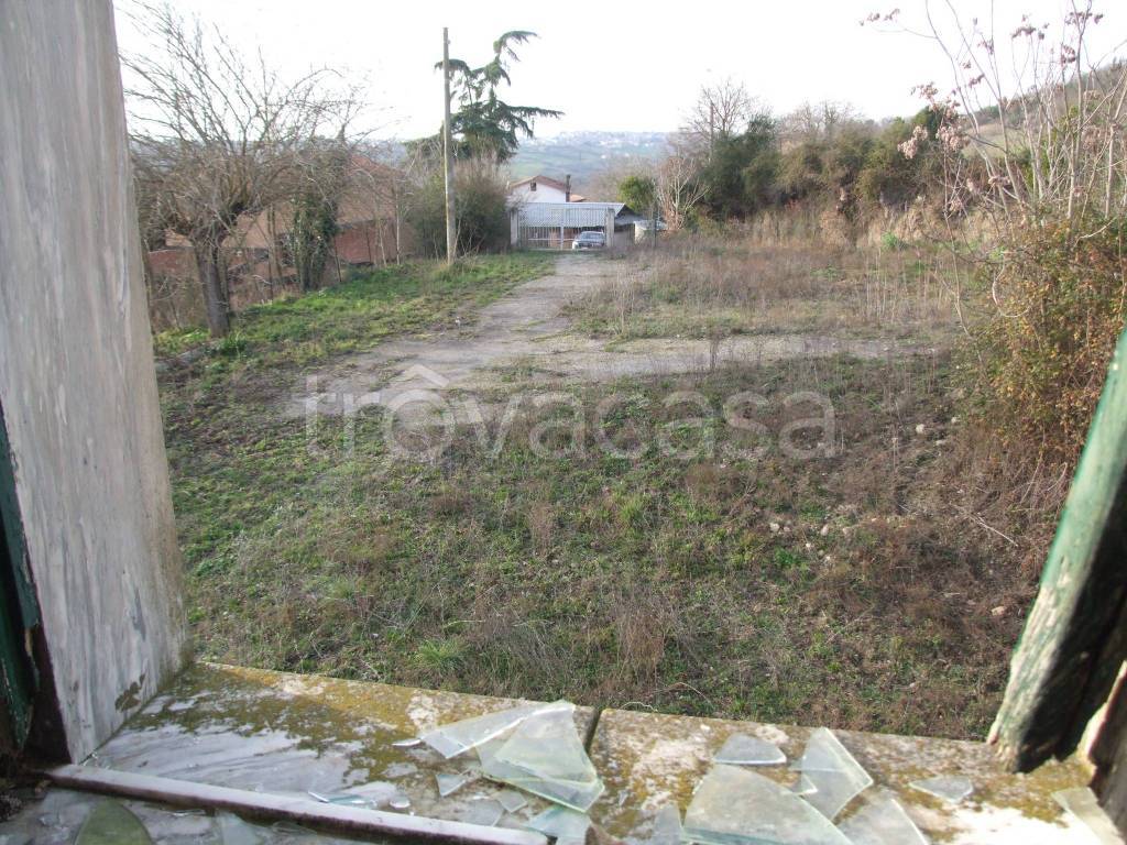 immagine annuncio 6 di 12