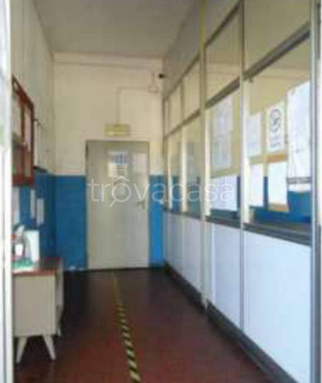 immagine annuncio 7 di 14