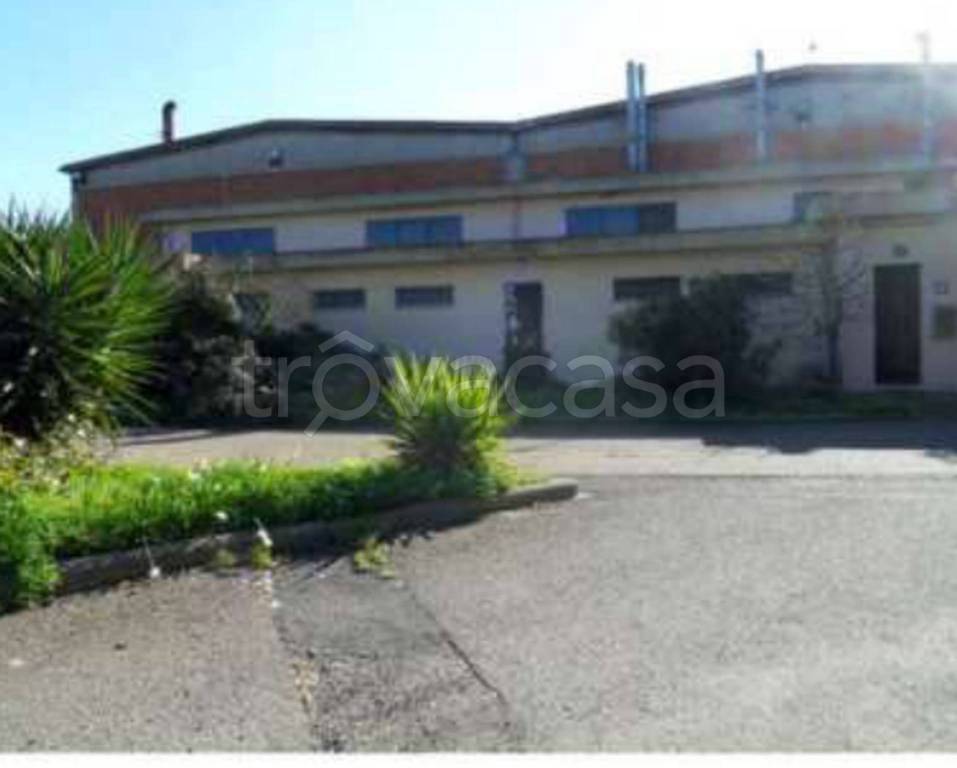 immagine annuncio 9 di 14