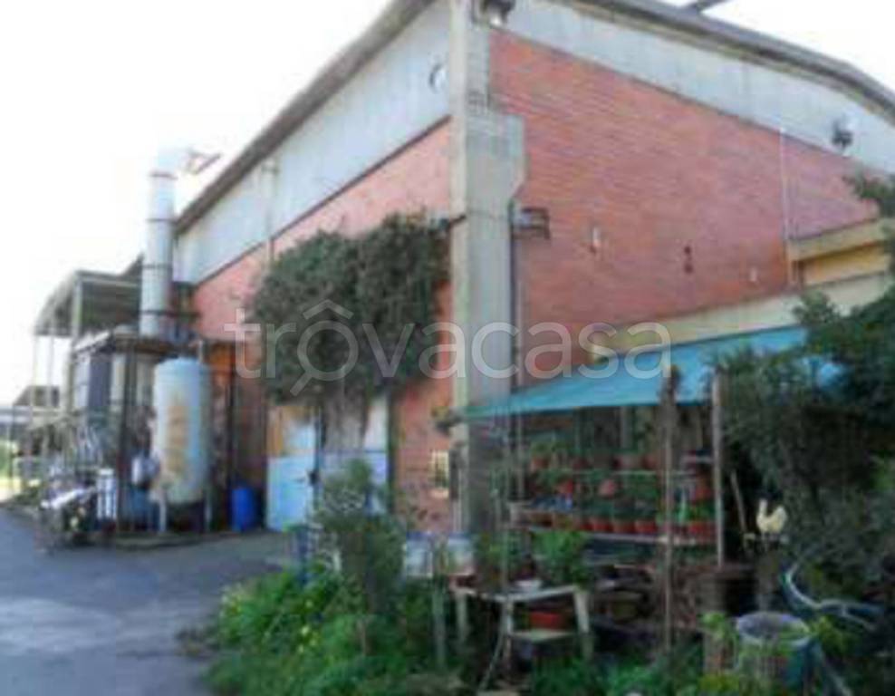 immagine annuncio 10 di 14