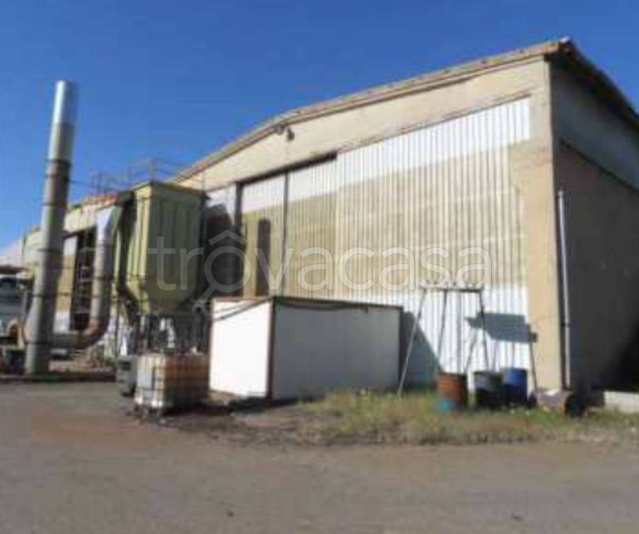 immagine annuncio 11 di 14