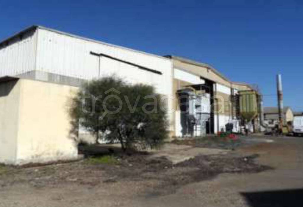 immagine annuncio 12 di 14