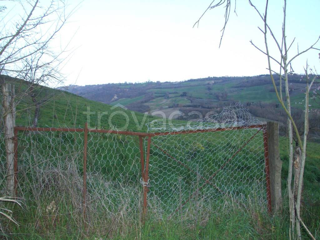 immagine annuncio 10 di 12