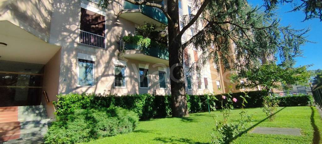 immagine annuncio 11 di 14