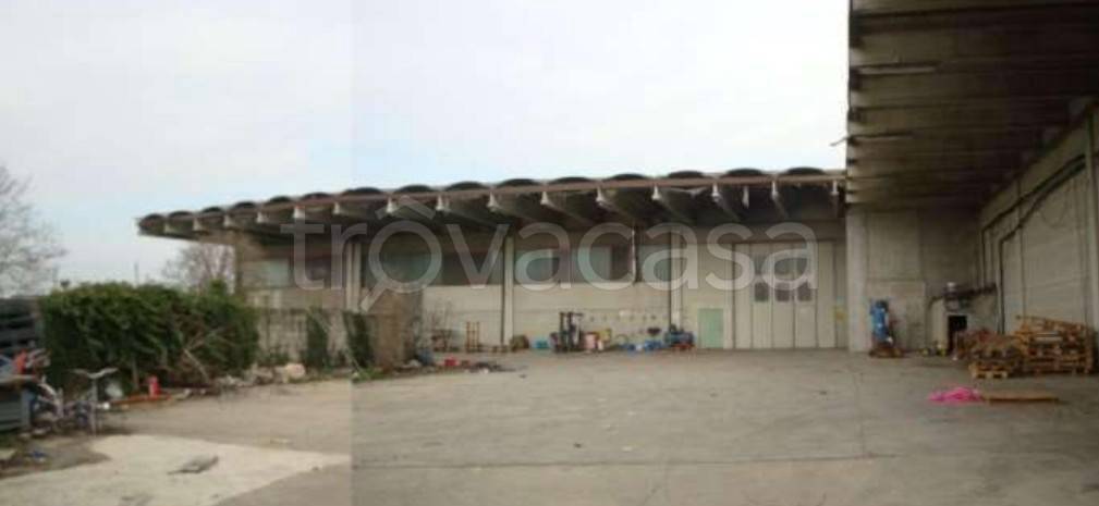 immagine annuncio 2 di 14