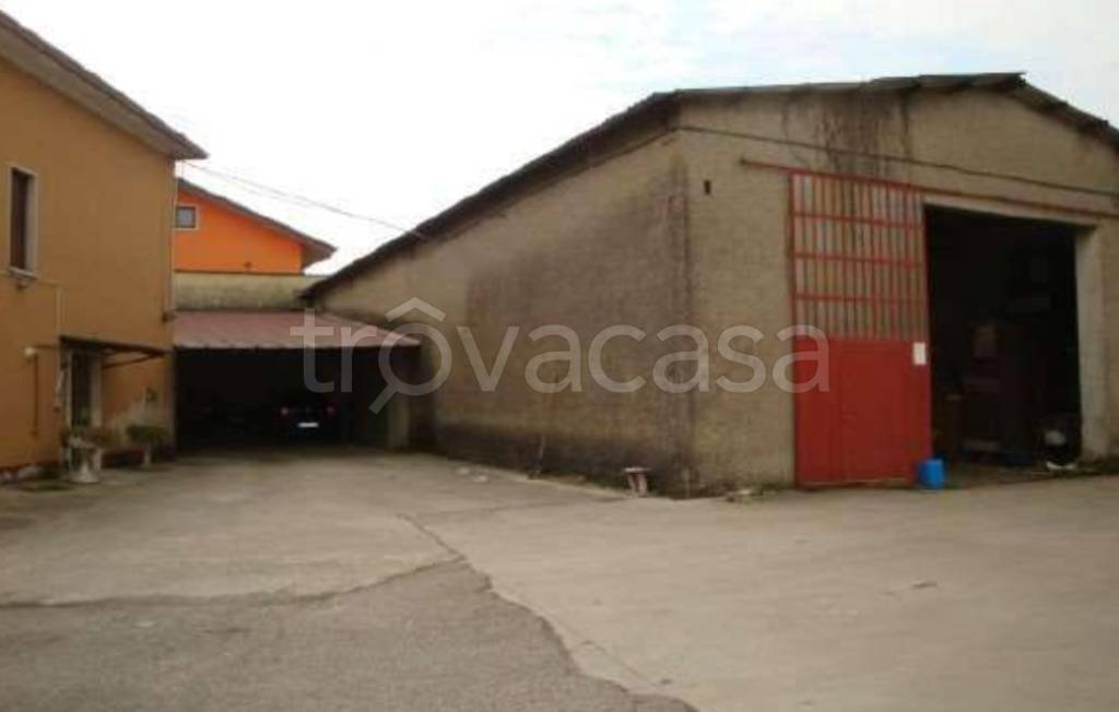 immagine annuncio 9 di 14