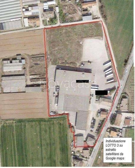 immagine annuncio 10 di 14