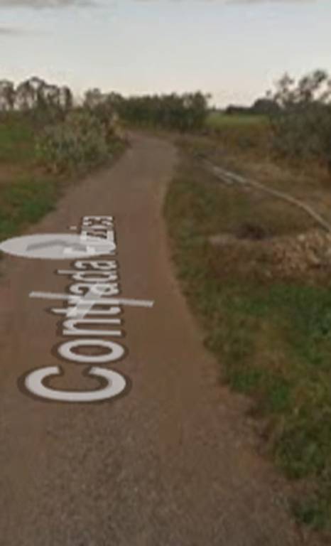 immagine annuncio 6 di 12