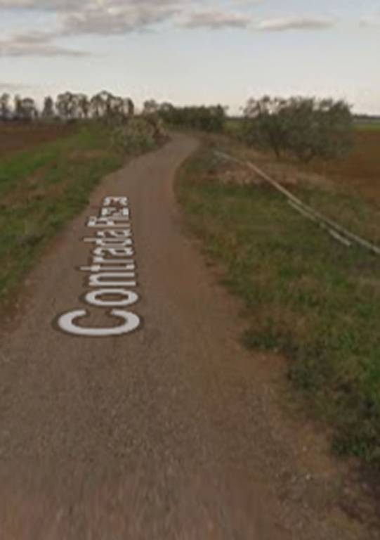 immagine annuncio 11 di 12