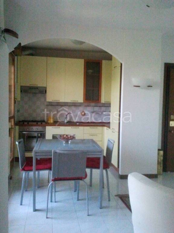 immagine annuncio 7 di 12