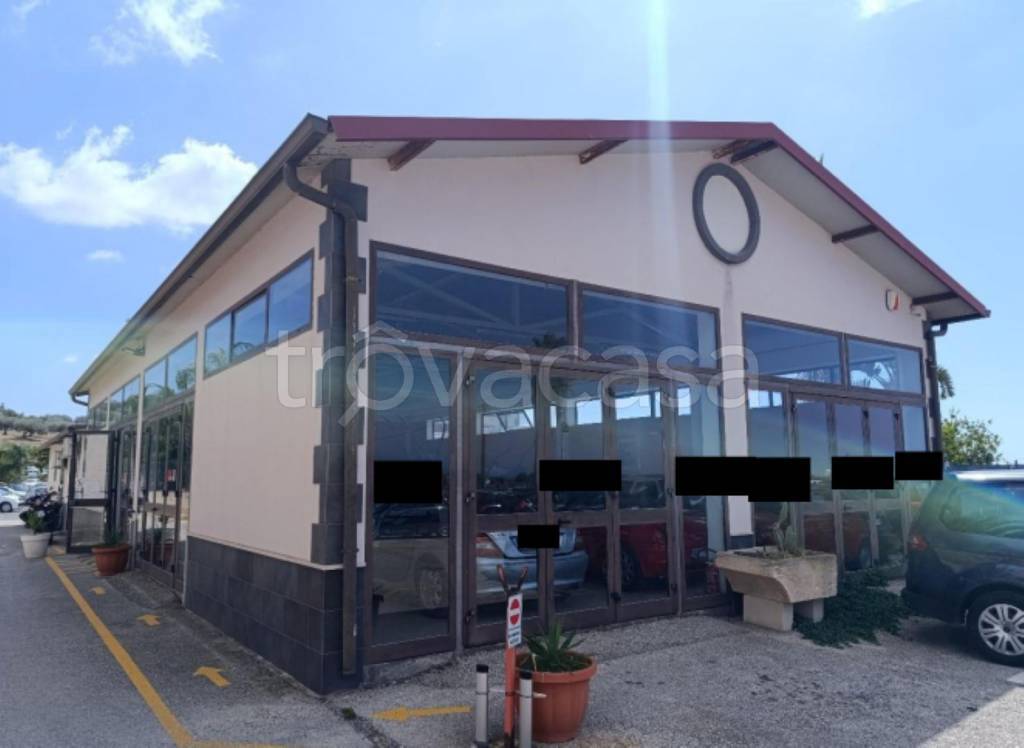 immagine annuncio 1 di 11