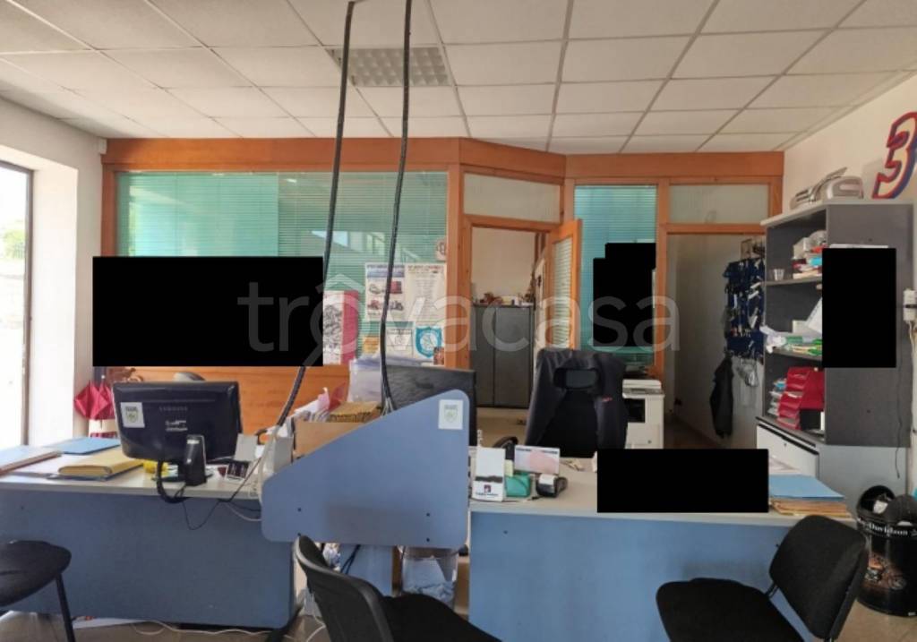 immagine annuncio 6 di 11