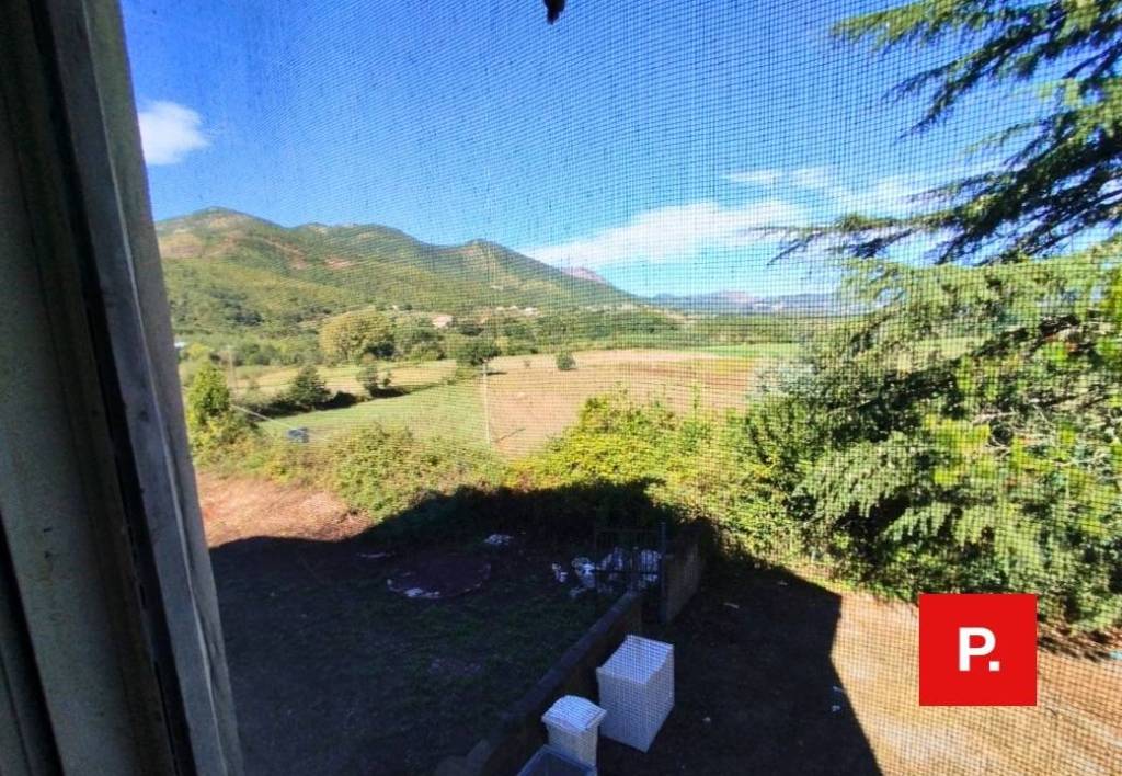 immagine annuncio 2 di 6