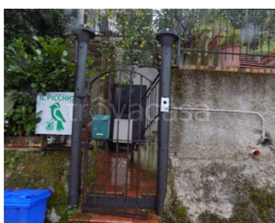 immagine annuncio 5 di 13