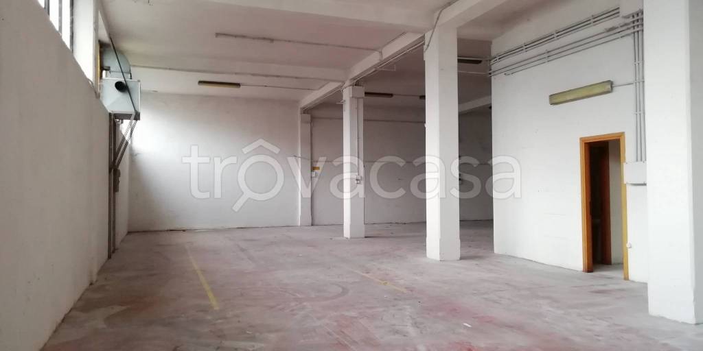 immagine annuncio 2 di 7