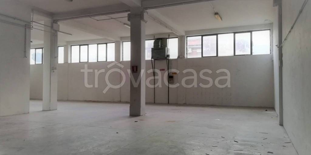 immagine annuncio 3 di 7