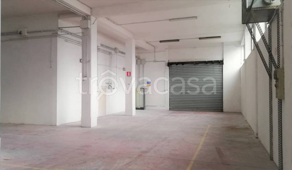 immagine annuncio 4 di 7