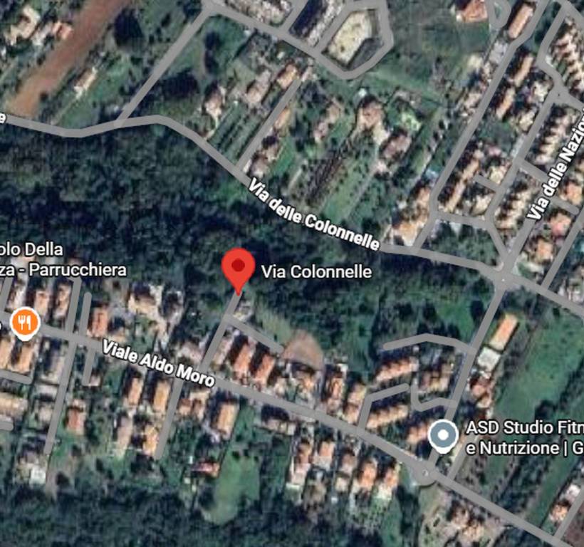 immagine annuncio 3 di 9