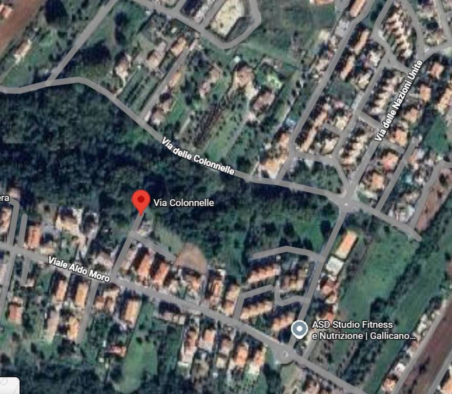 immagine annuncio 4 di 9