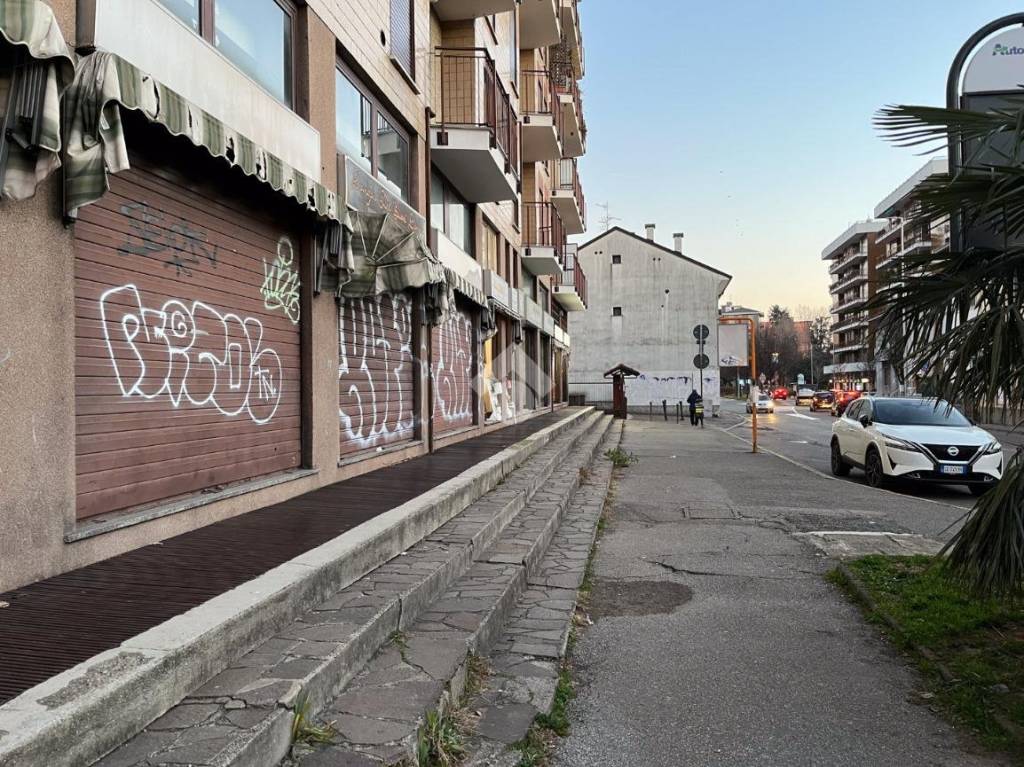 immagine annuncio 5 di 15