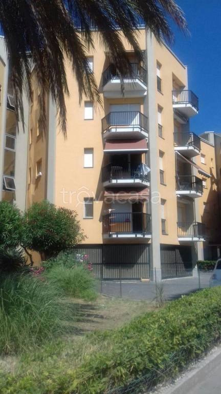 immagine annuncio 12 di 14