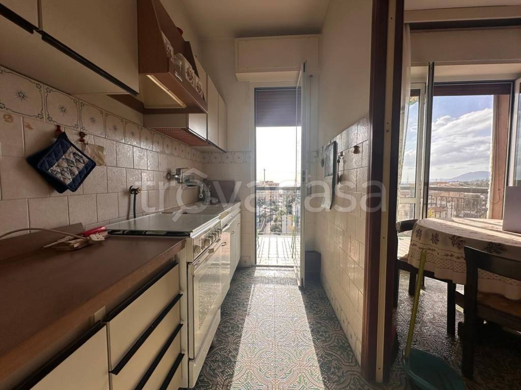 immagine annuncio 4 di 14