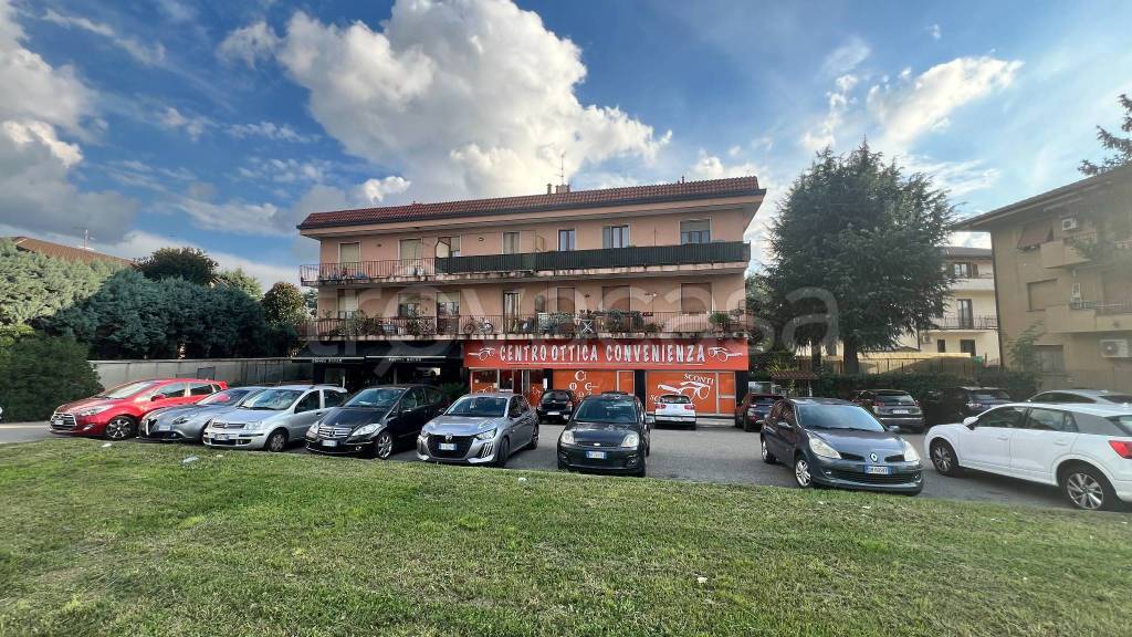 immagine annuncio 1 di 14