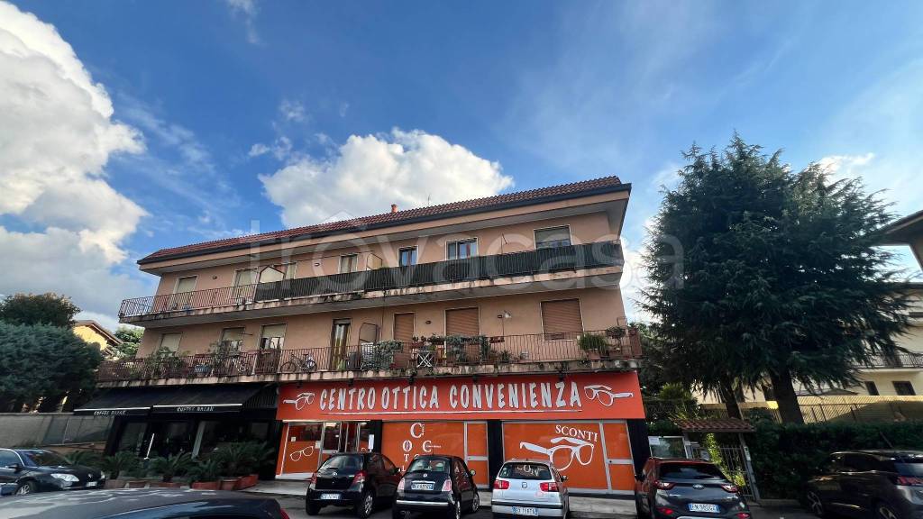 immagine annuncio 2 di 14