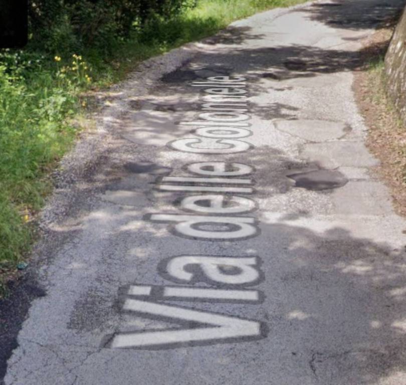 immagine annuncio 5 di 13