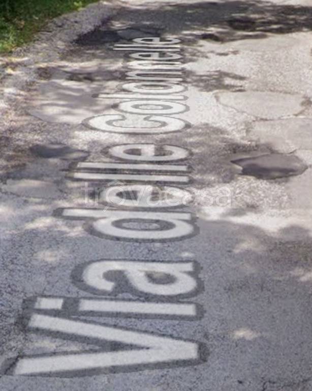 immagine annuncio 6 di 13