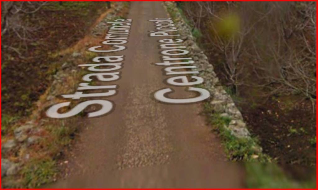 immagine annuncio 1 di 12